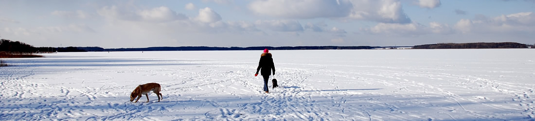 Angebot Luxusurlaub mit Hund Fleesensee Resort & SPA