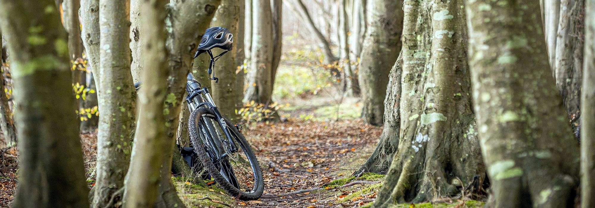 Fahrrad fahren