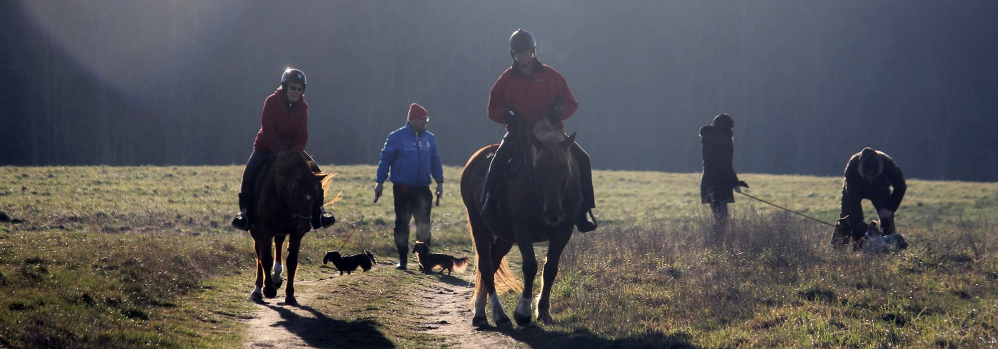 reiten